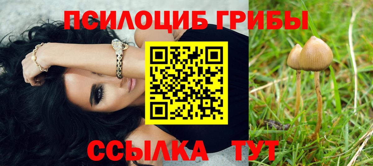 Черногорск  Галлюциногенные грибы ЛСД  Вход с VPN  где найти наркотики  Псилоцибиновые грибы Magic Shrooms 